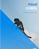 Visual COBOL - Value Profile Service